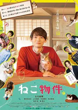 《猫物件》：一场关于孤独、治愈与猫咪的奇妙之旅，你准备好被萌化了吗？