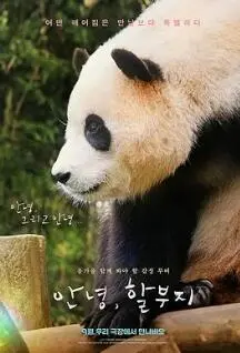 告别“福宝”：一部关于爱、失去与奇幻冒险的催泪治愈系影片