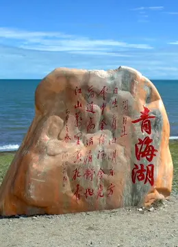 《丝绸之路青海道》：当史诗史诗遇上刑侦剧，这奇葩跨界你能顶多久？